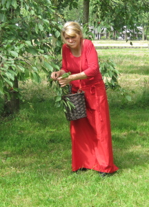 2014-06-27 16.40.26